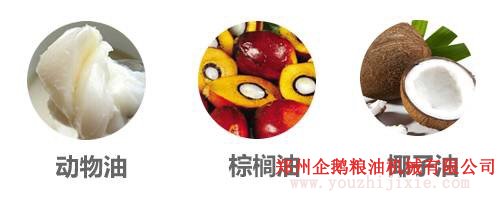 选油换油有讲究, 食用油生产厂家教你选油吃油正确方法(图6) 选油换油有讲究, 食用油生产厂家教你选油吃油正确方法(图6)