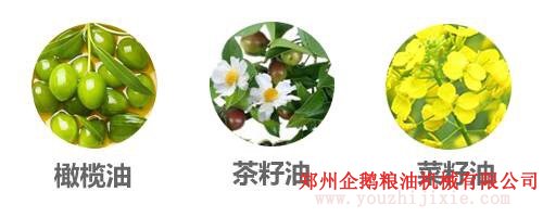 选油换油有讲究, 食用油生产厂家教你选油吃油正确方法(图2) 选油换油有讲究, 食用油生产厂家教你选油吃油正确方法(图2)