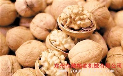 核桃榨油成套设备交钥匙工程(图1) 核tao