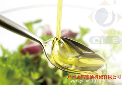核桃榨油成套设备交钥匙工程(图5) 核桃榨油成套设备交钥匙工程(图5)
