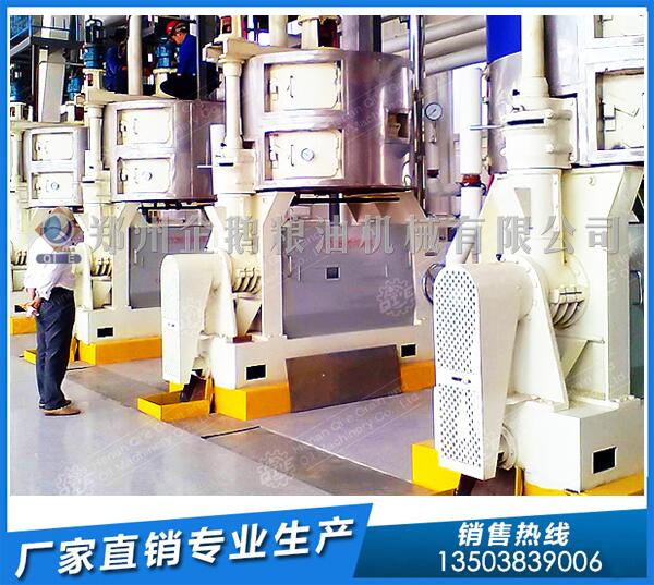 湖南茶籽榨油机生产线,郑州企鹅全力护航(图1) 茶籽榨油生产线