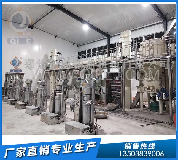 核桃冷榨油生产线,郑州企鹅强势助力(图1) 核桃榨油机设备