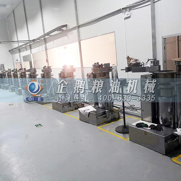 核桃油压榨精炼设备,企鹅品质众望所归(图1) 核桃油压榨精炼设备